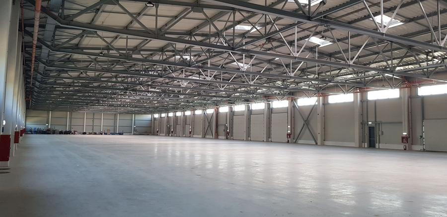 Spatiu depozitare si productie Soseaua de centura Otopeni - Odai - 3