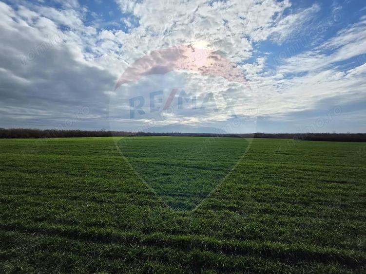 Vanzare teren agricol 12 ha, Giarmata - Jud. Timi? - 2