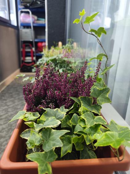 Apartament 2 camere decomandat – parter, bloc nou 2023, Drumul Binelui – Dealul - 9