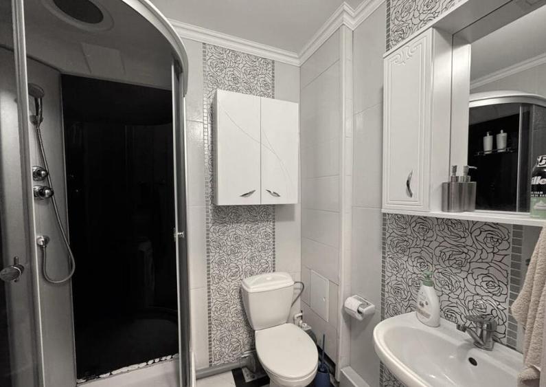 Apartament cu o camera de inchiriat pe Aleea Detunata - 2