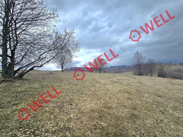 De vânzare 2 terenuri extravilane în localitatea Vama Buzăului, în zona denumită - 3