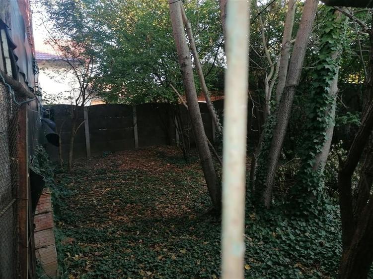 Casa Individuala zona Dambovita peste 450 Mp Teren - 3