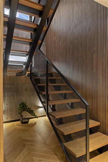 VILA SUPERBA LIPITA DE LIZIERA PADURII - 10