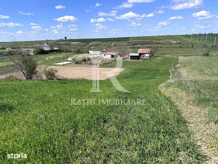 Teren intravilan | Le? | Bihor - 4