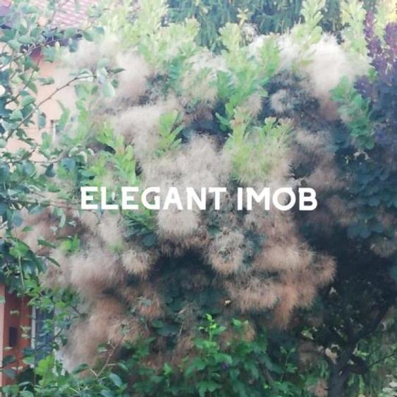 Vila Paradisul Verde - Corbeanca - 19