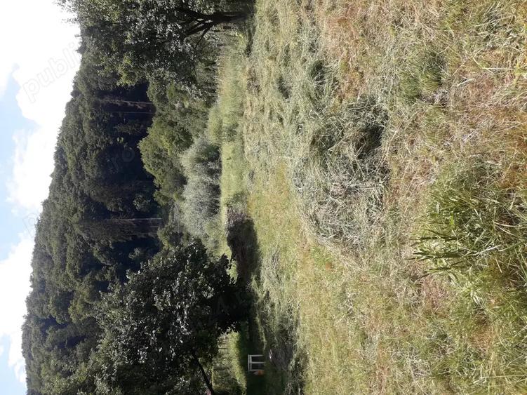 Vand casa in Piatra Neam?. - 8