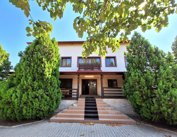 Vanzare vila S + P + 1 + M, Tancabesti , teren: 1.196 mp - 10