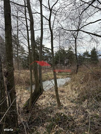 Teren cu 2 izvoare, Prundul Bargaului - 2