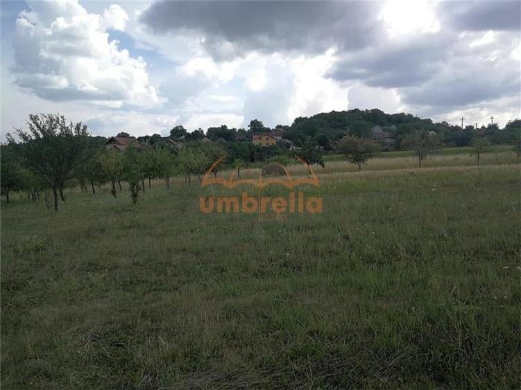 De vanzare teren 1.800/? intrav. in Deus- Chinteni ! - 7