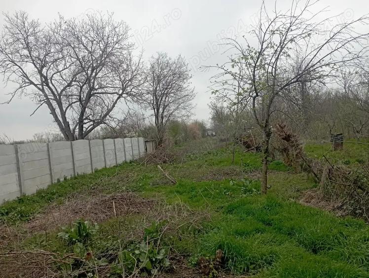 Orasul Calarasi - Vand casa + 1000 mp intravilan - 1