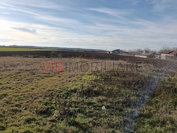 Teren intravilan investitie, urbanism rezidential si dotari, Bucovat - 4