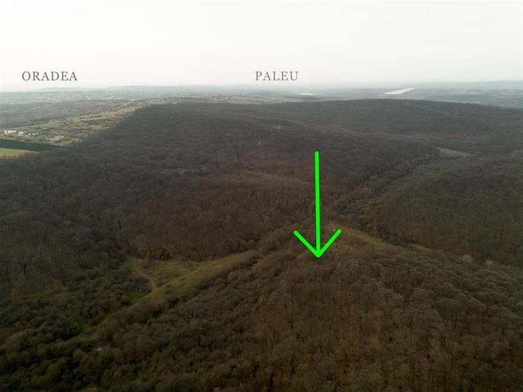 RECO . Teren extravilan . Saldabagiu de munte . - 1