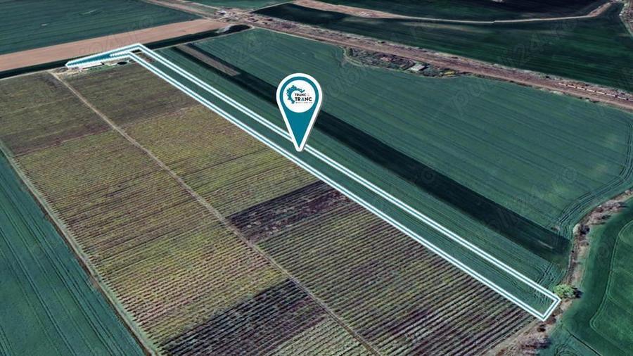 Teren agricol de 1,95 ha in Zimandu Nou - 3