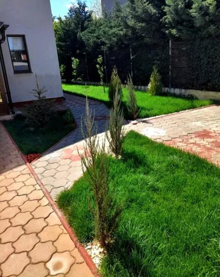 Com Berceni-Primarie-vila suprafata 120 mp-pret 131000 euro - 3