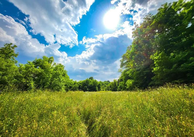 Teren 11700 mp in Valea Lunga, o oaza de lini?te, aer curat, verdea?a - 1