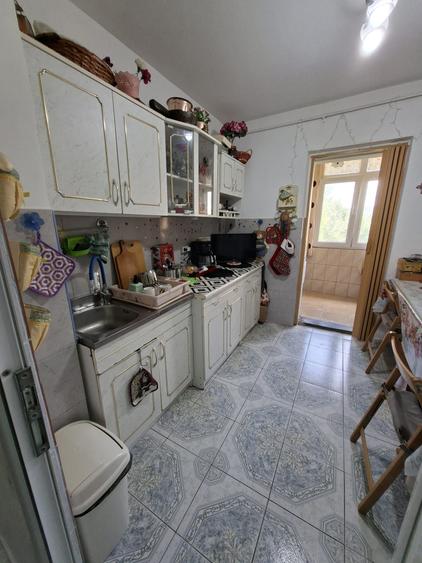 Colentina,Rau Fundeni,Maior Vasile Bacila - 9