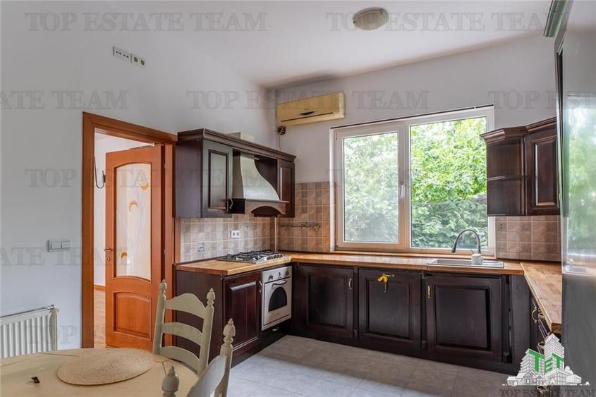 Vanzare vila Iancu Nicolae - 9