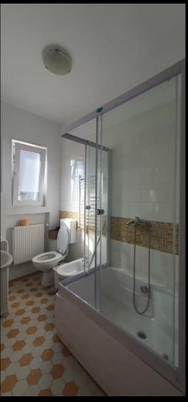 Universitate,  Italiana - 11