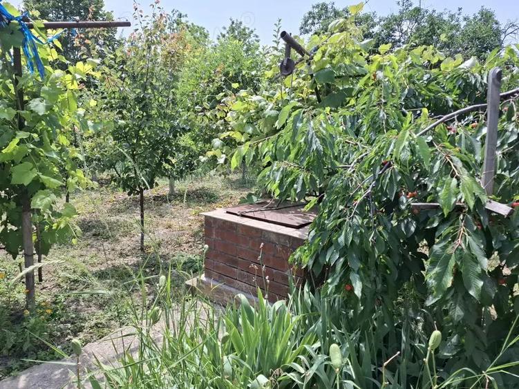 Vand proprietate in comuna Nanesti Vrancea - 1