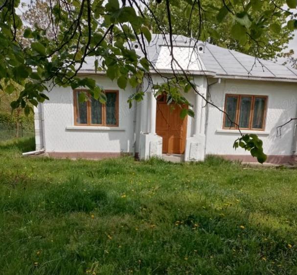 Vand casa, curte generoasa in Lisna, judetul Botosani - 4