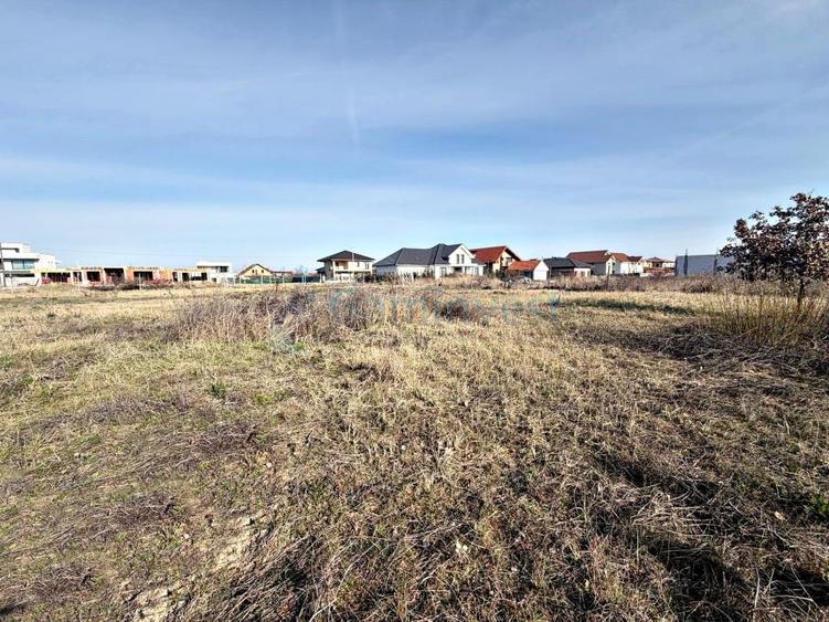 Teren intravilan de vanzare in Sanmartin - 1