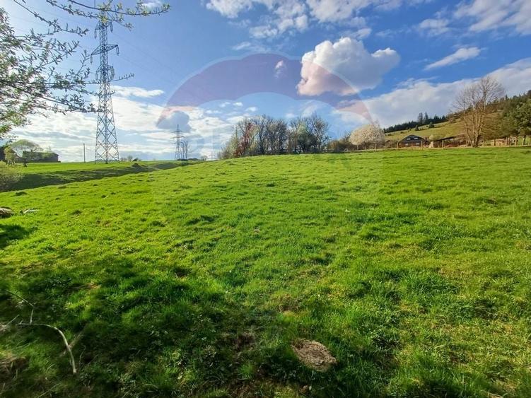 Teren 2,421mp Vatra Dornei / Strada Chilia - 5