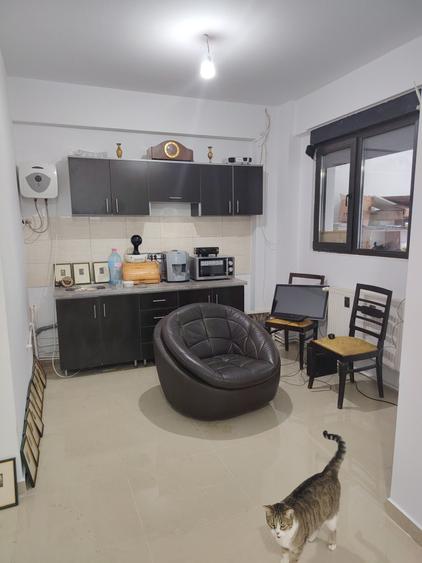 VILA 450 MP UTILI, MOBILATA BIROURI, CURTE 400 MP, 7 LOCURI PARCARE, - 3