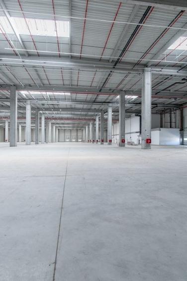 Spațiu industrial, 249500 mp în Chitila - 5