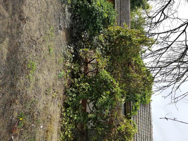 Vand casa batraneasca - 1