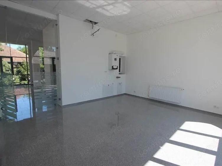 Birouri luxoase in zona centrala - 7