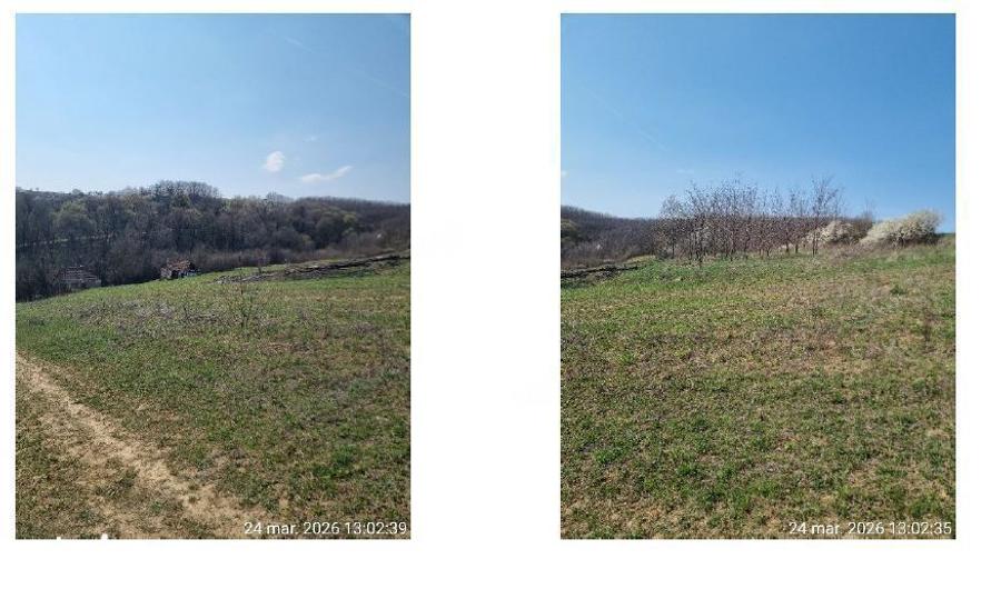 Teren extravilan, sat Topesti, comuna Dragesti, jud. Bihor - 2