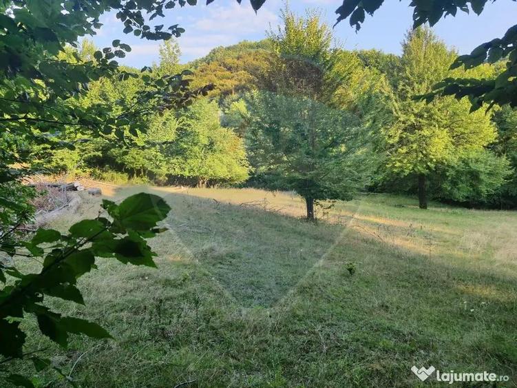 Poiana pentru cabana de vanzare intravilan Coas - 2