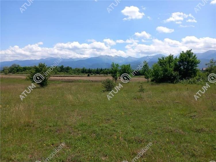 Teren intravilan 5000 mp pe Valea Avrigului, Sibiu - 7