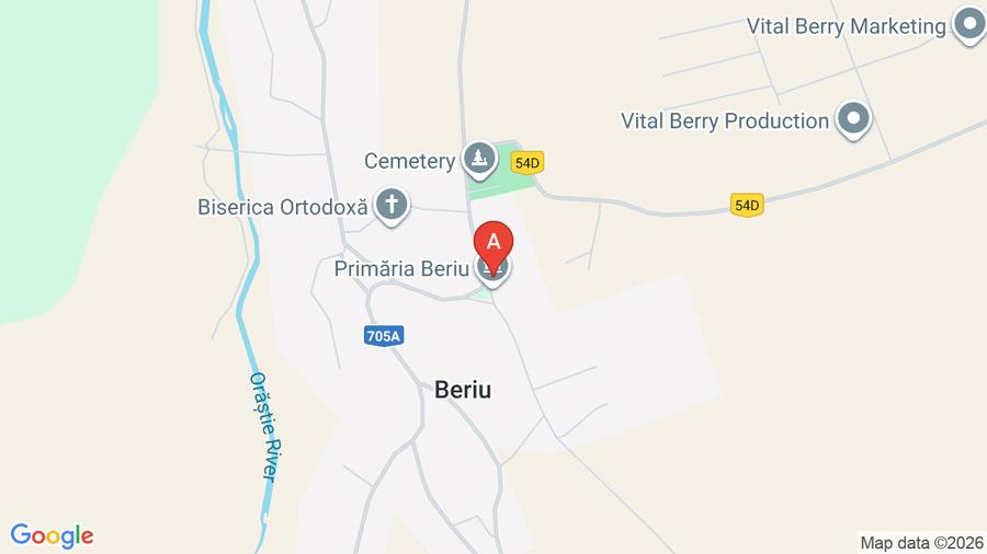 Teren de vanzare intravilan Beriu - 1