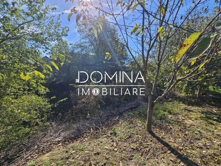 Vanzare teren *intravilan 308 mp cu utilitati* - Sat Ceauru, Comuna Balesti - 6