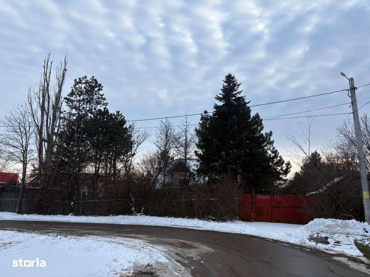 Teren intravilan 3.500 mp Branesti, Pasarea | acces din doua strazi - 1