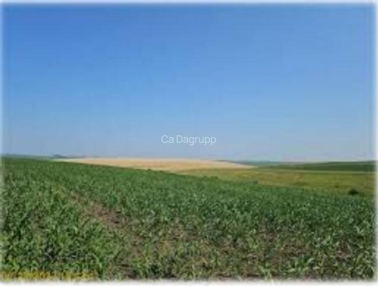 1,1 hectare teren agricol in comuna Bragadiru din judetul Teleorman 1,1 hectare teren agricol in comuna Bragadiru din judetul Teleorman