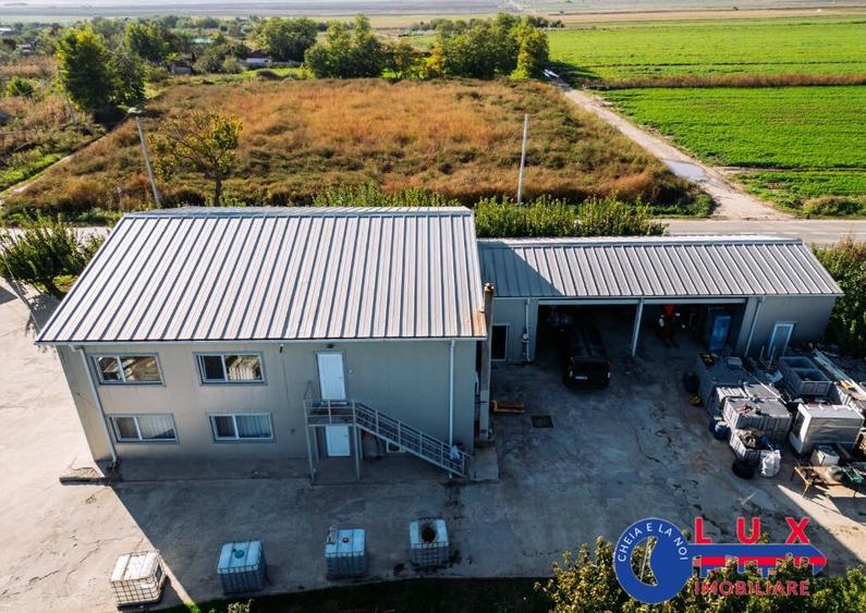 ID 7785 LIVADA SABANGIA DE VANZARE - 34