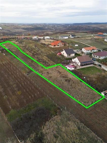 RECO . Teren intravilan Saldabagiu de munte . - 3