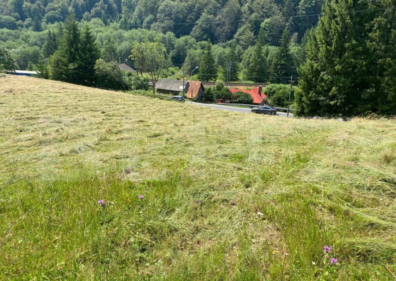 Oportunitate de Investi?ie: Teren de 10.000 mp la Intrarea - 8