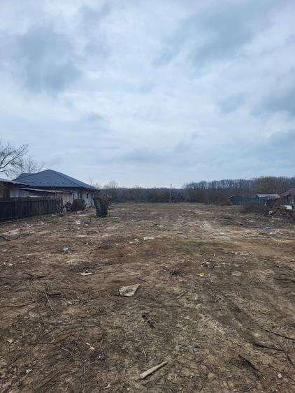 VÂND TEREN ÎN SNAGOV – APROAPE DE PĂDURE, DESCHIDERE GENEROASĂ - 2