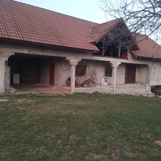 Casa cu teren 7400 mp de vanzare. - 7