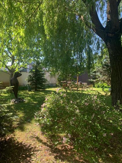 VANZARE CASA VILA - 25