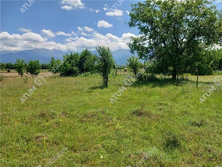 Teren intravilan 5000 mp pe Valea Avrigului, Sibiu - 4