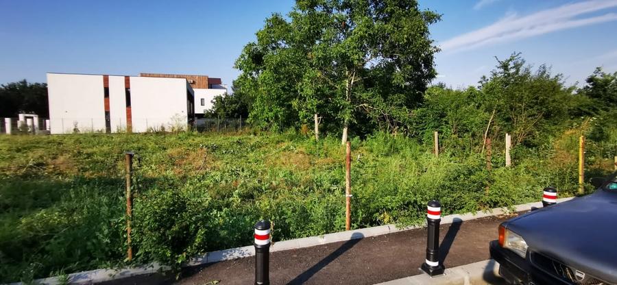 Teren 980mp Straulesti - 5