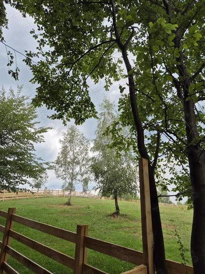 Teren extravilan 13.800 mp Ra?nov, Glajarie priveli?te superba, oportunitate de investi?ie - 8