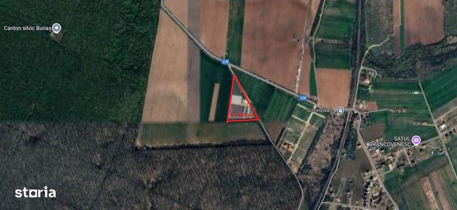 Teren Intravilan 17.714 Mp Scrovistea / Balteni Langa Padure - 2