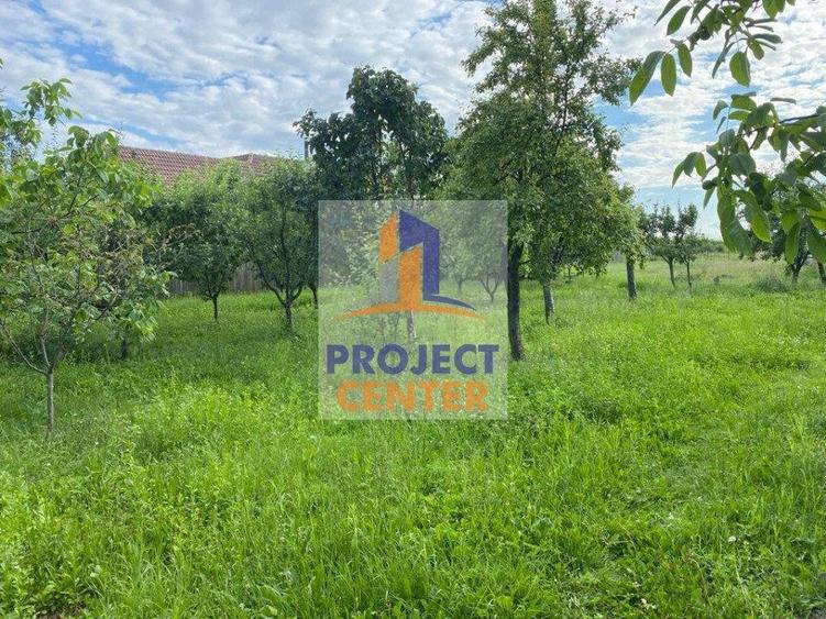 Teren intravilan 7600 mp, Dealul Viilor - 5