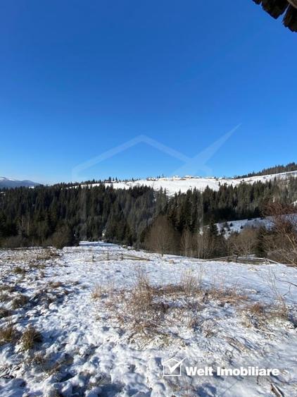 Oportunitate.Teren de vanzare la munte-BELIS - 1