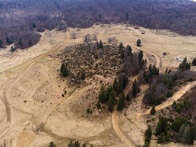 Teren Construcții intravilan de 6500 mp, în Poiana Brașov